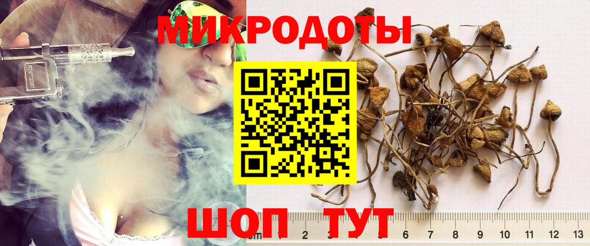 Псилоцибиновые грибы прущие грибы  Вход с VPN  Архангельск  Псилоцибиновые грибы Psilocybine cubensis 
