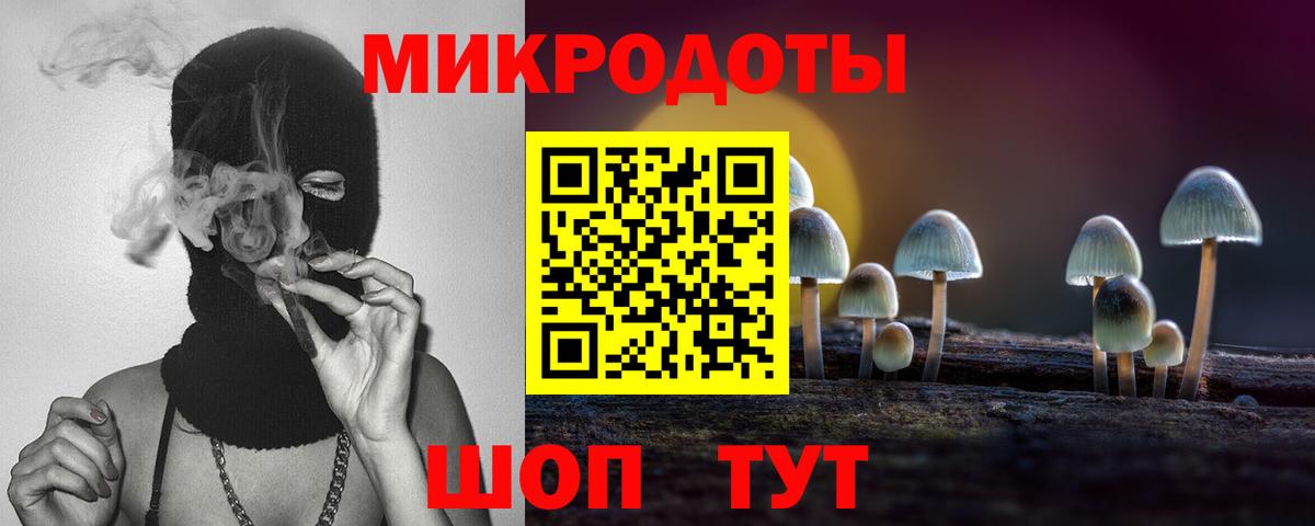 Галлюциногенные грибы Psilocybe Архангельск